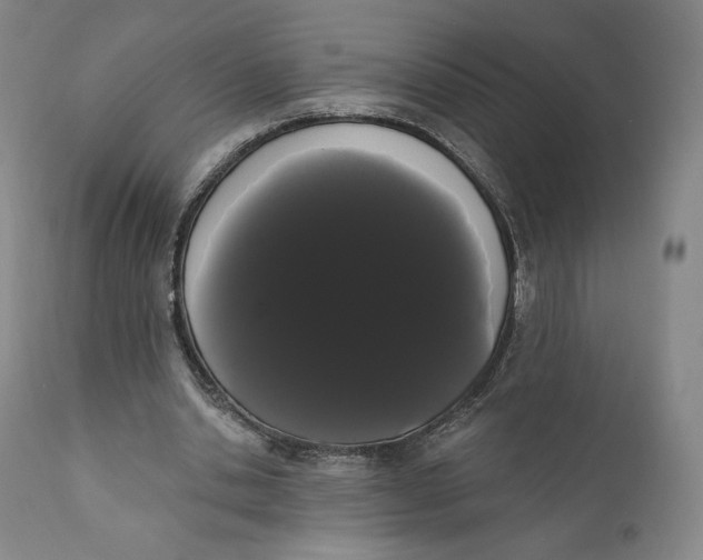 X0000111020438200907101343