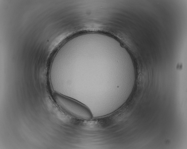 X0000111020440200907101343