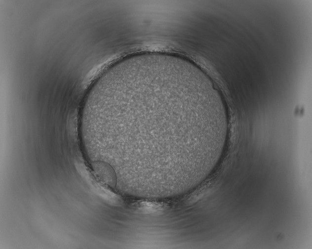 X0000111020442200907101343
