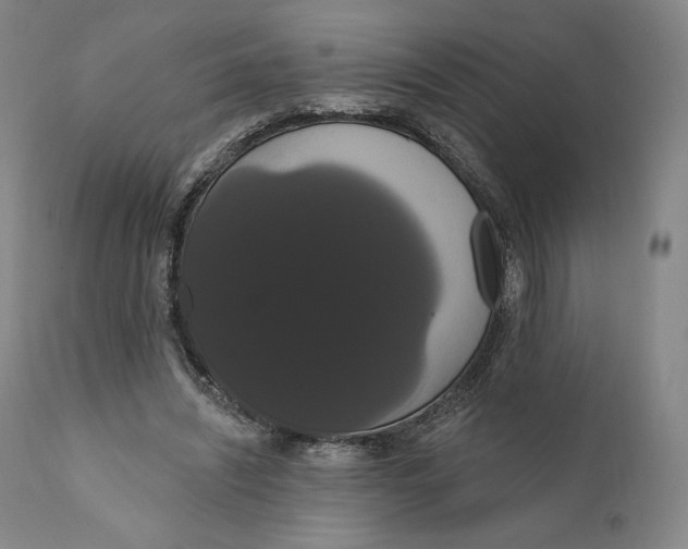 X0000111020444200907101343