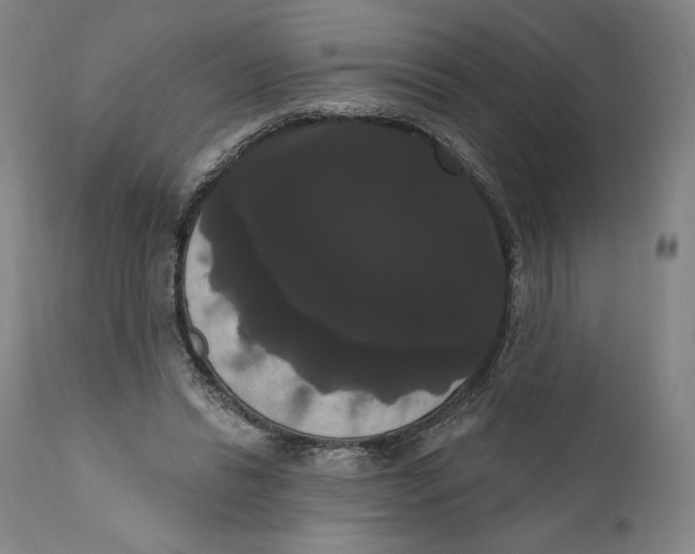 X0000111020446200907101343