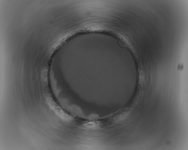 X0000111020447200907101343