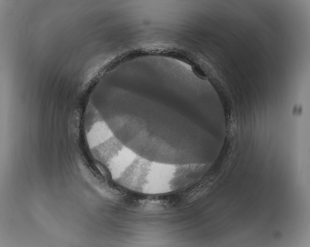 X0000111020448200907101343