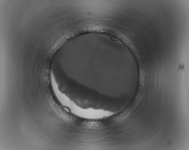 X0000111020449200907101343