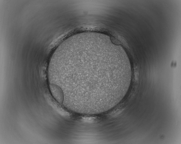 X0000111020450200907101343