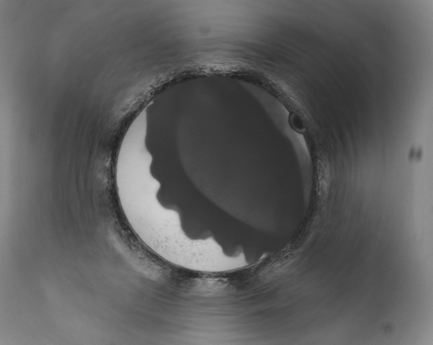 X0000111020451200907101343