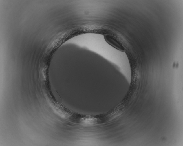 X0000111020452200907101343