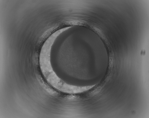 X0000111020453200907101343