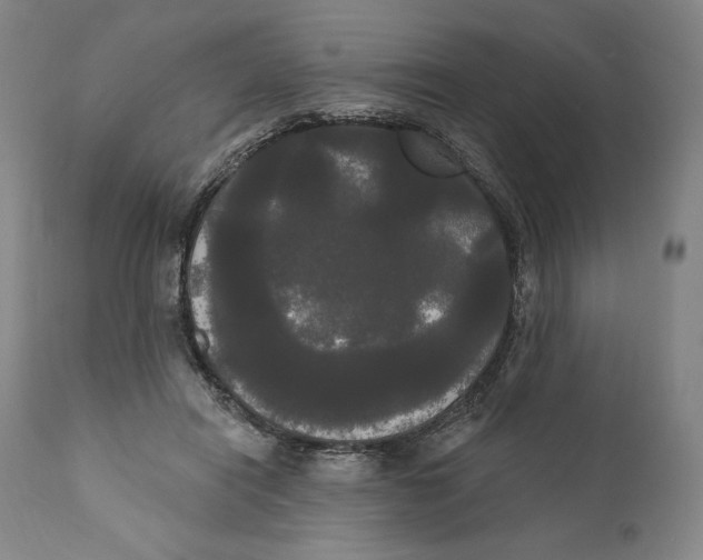 X0000111020454200907101343