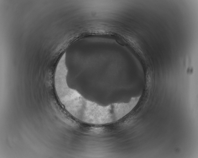 X0000111020457200907101343