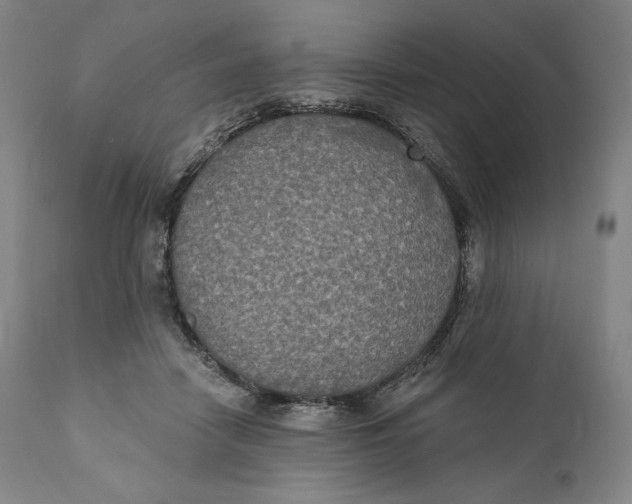 X0000111020458200907101343