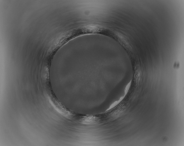 X0000111020459200907101343