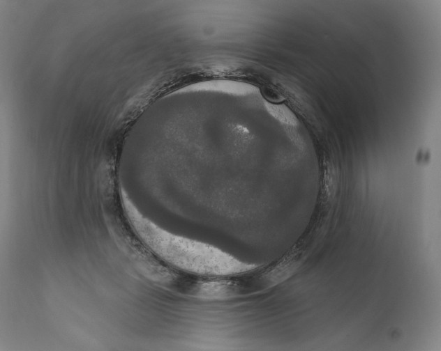 X0000111020461200907101344