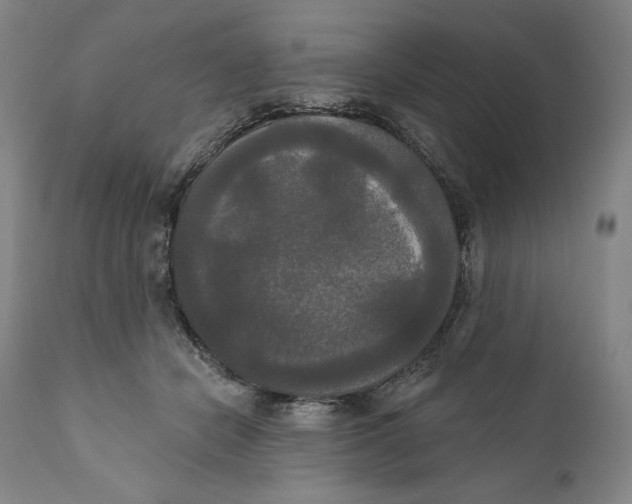 X0000111020462200907101344