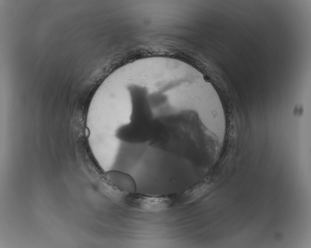 X0000111020465200907101344