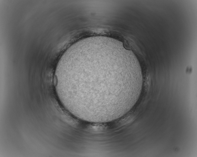 X0000111020466200907101344