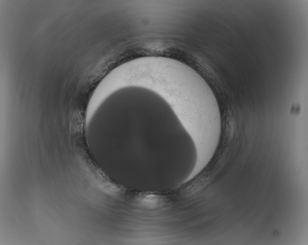X0000111020467200907101344