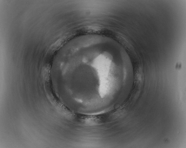 X0000111020468200907101344