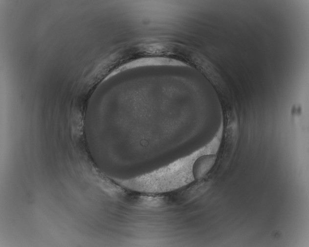 X0000111020469200907101344