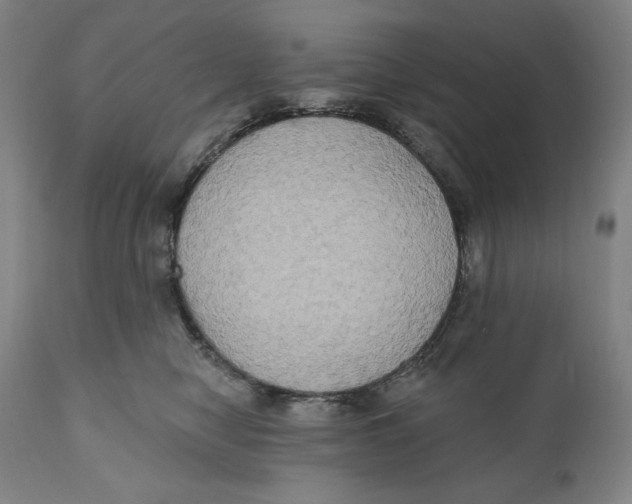 X0000111020470200907101344