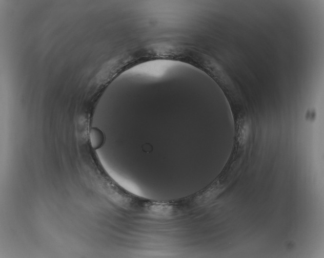 X0000111020471200907101344