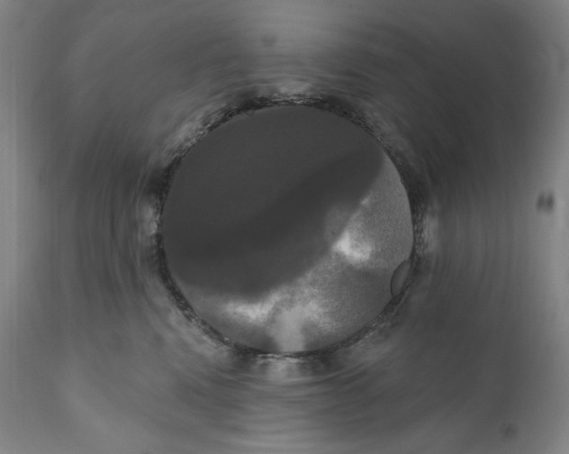 X0000111020472200907101344