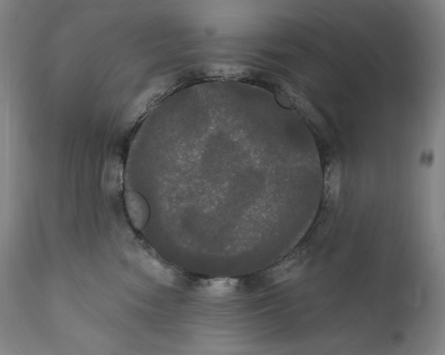 X0000111020474200907101344