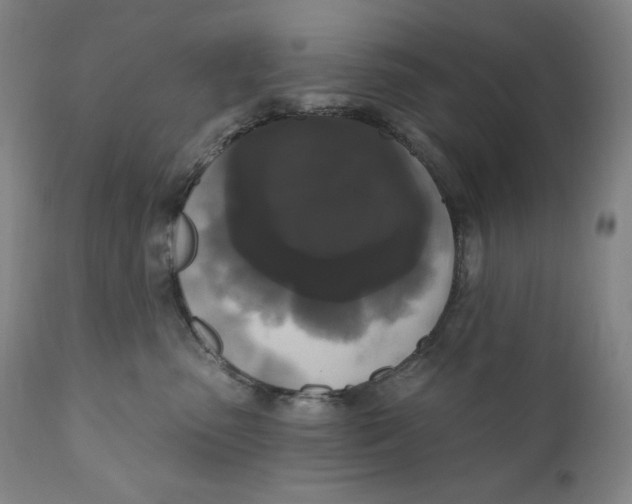 X0000111020475200907101344