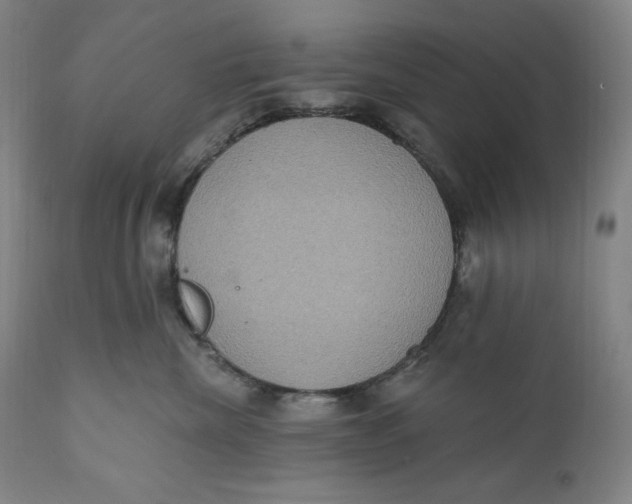 X0000111020476200907101344