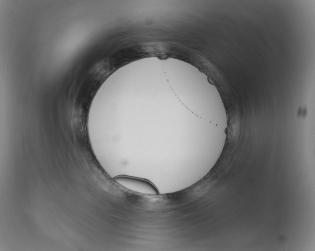 X0000111020477200907101344