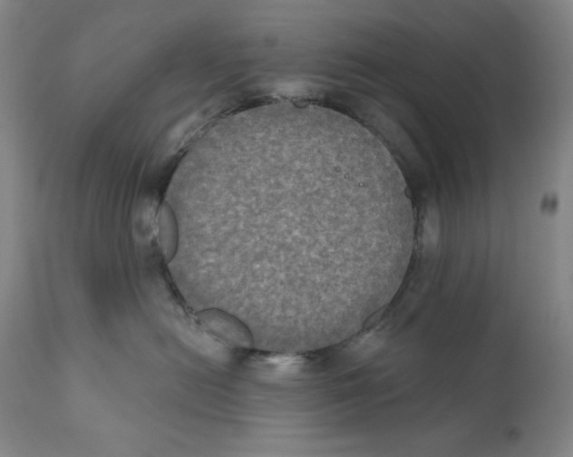 X0000111020478200907101344