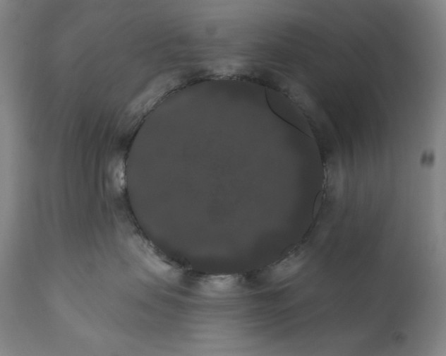 X0000111020479200907101344