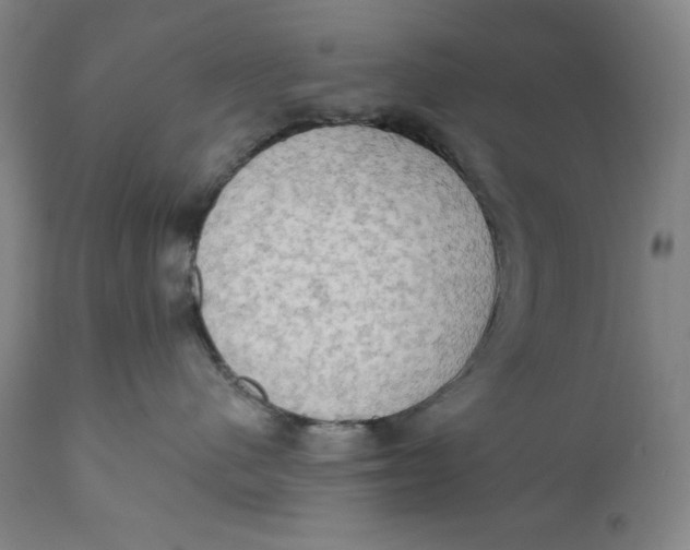 X0000111020480200907101344
