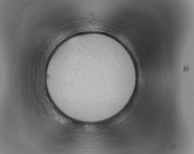 X0000111020481200907101343
