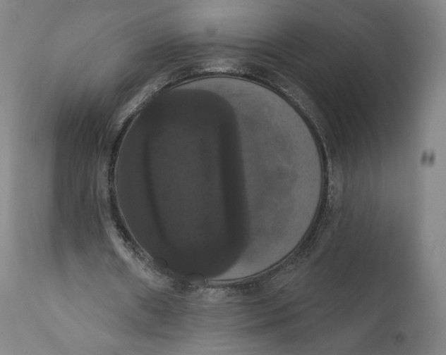 X0000111020482200907101343