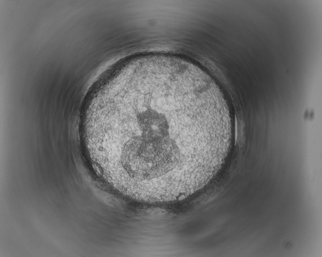 X0000111020483200907101343
