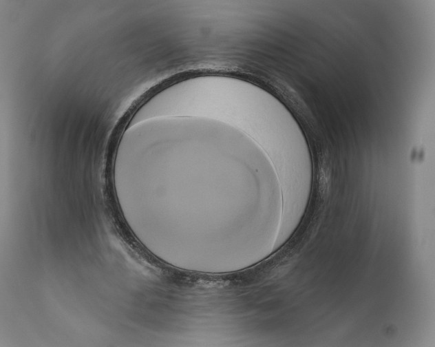 X0000111020484200907101343