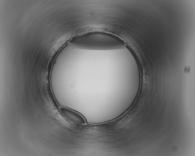 X0000111020485200907101343