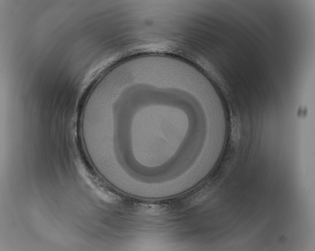X0000111020486200907101343