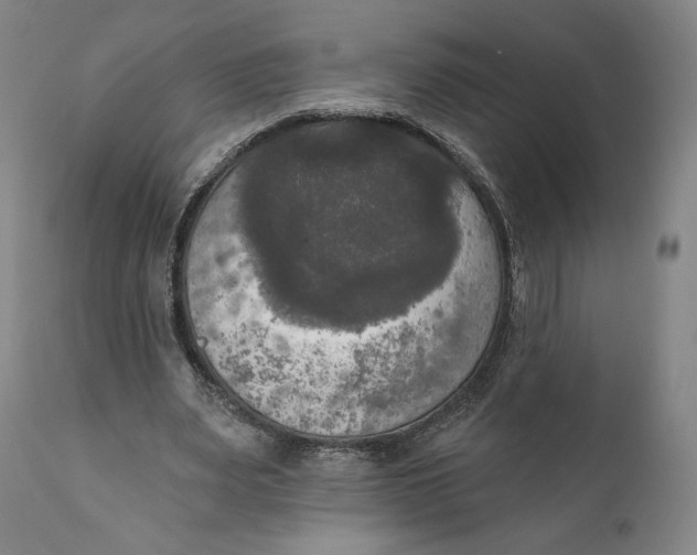 X0000111020487200907101343