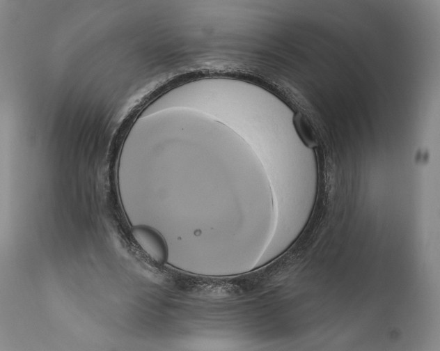 X0000111020488200907101343