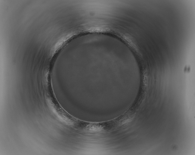 X0000111020491200907101343
