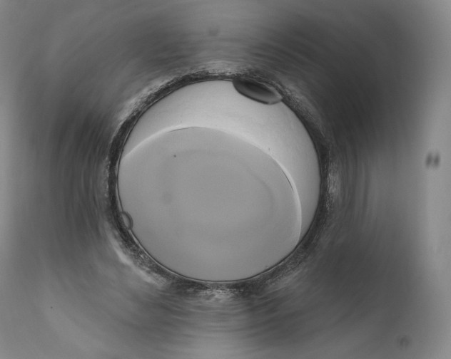 X0000111020492200907101343