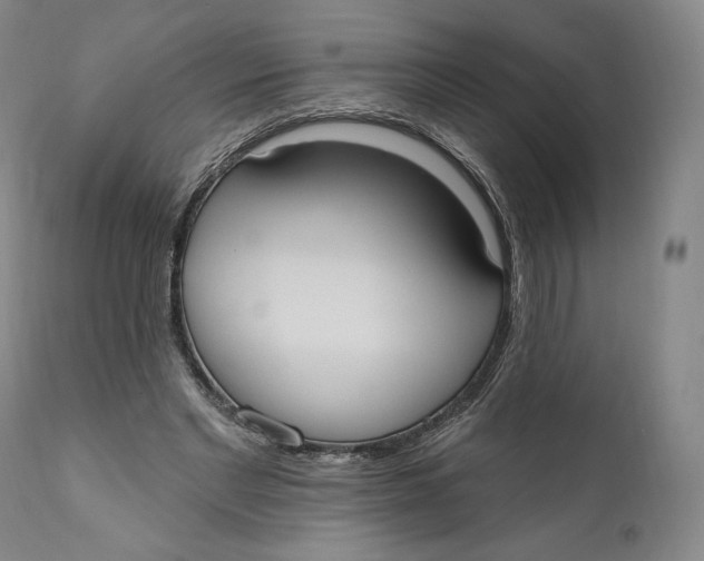 X0000111020493200907101343