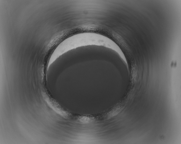X0000111020494200907101343