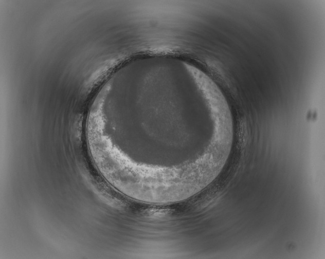 X0000111020495200907101343