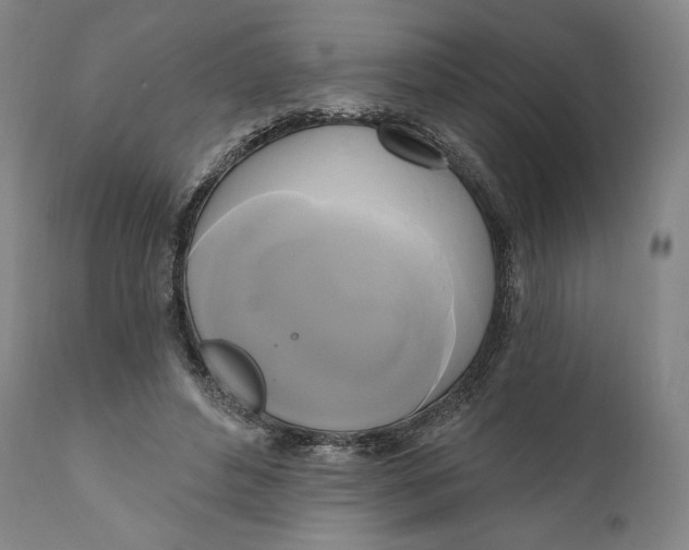 X0000111020496200907101343