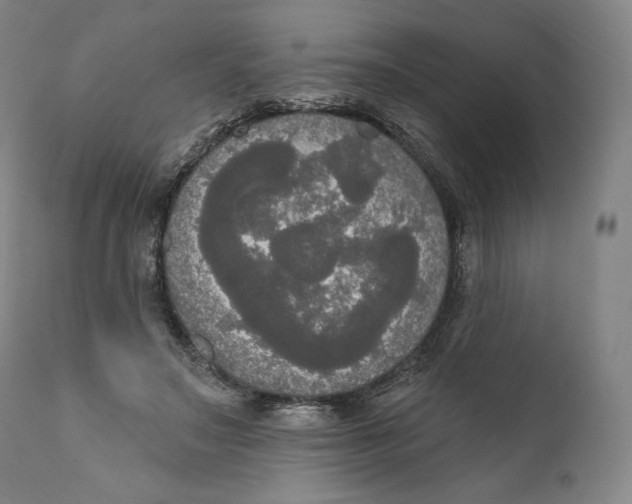 X0000111020499200907101343