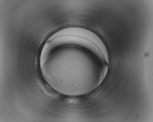 X0000111020500200907101343