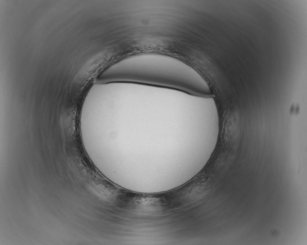 X0000111020501200907101343